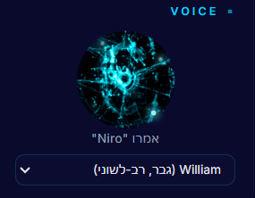 מצב הדיבור הקולי
